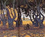 Paul Signac Chinar oil painting on canvas